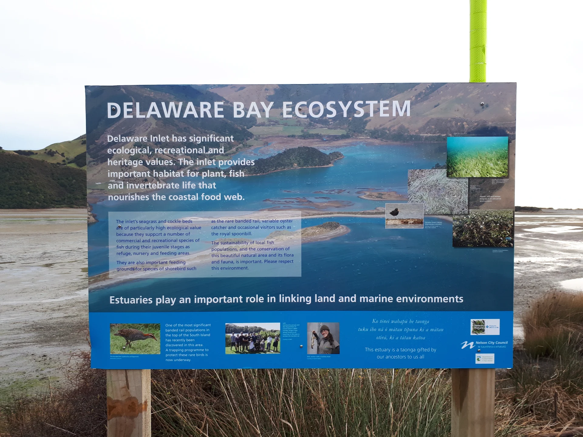 Frustration over Delaware Bay delay