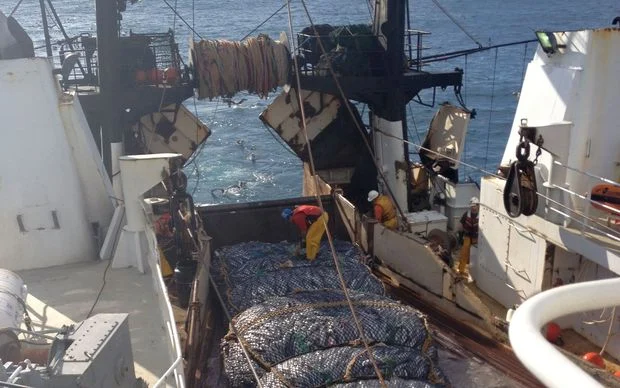 Officials trying to clear up China's seafood concerns after ban on two companies