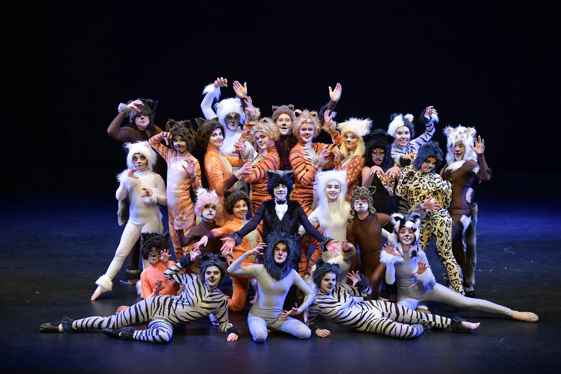 Review: Cats hosts a strong chorus of cats and kittens