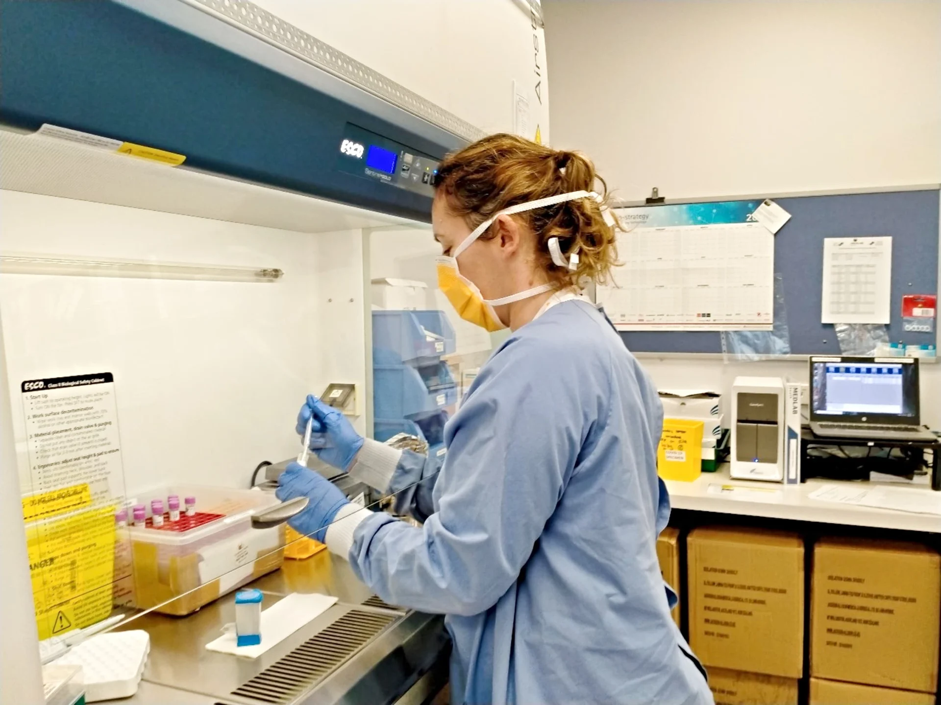 Lab staff work around the clock to tackle Covid