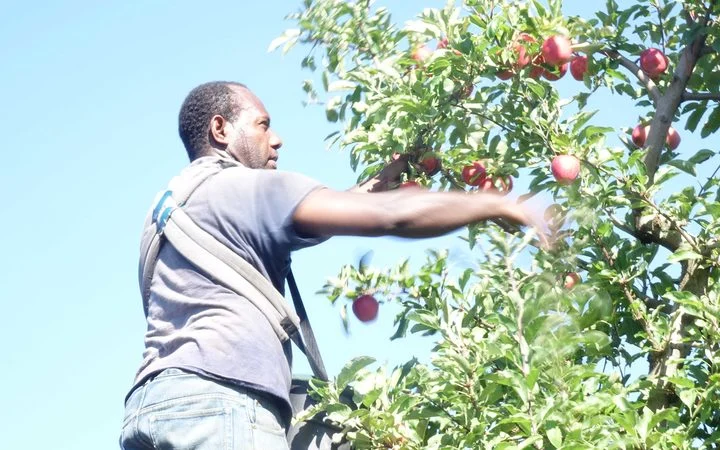 First RSE workers begin to arrive in region