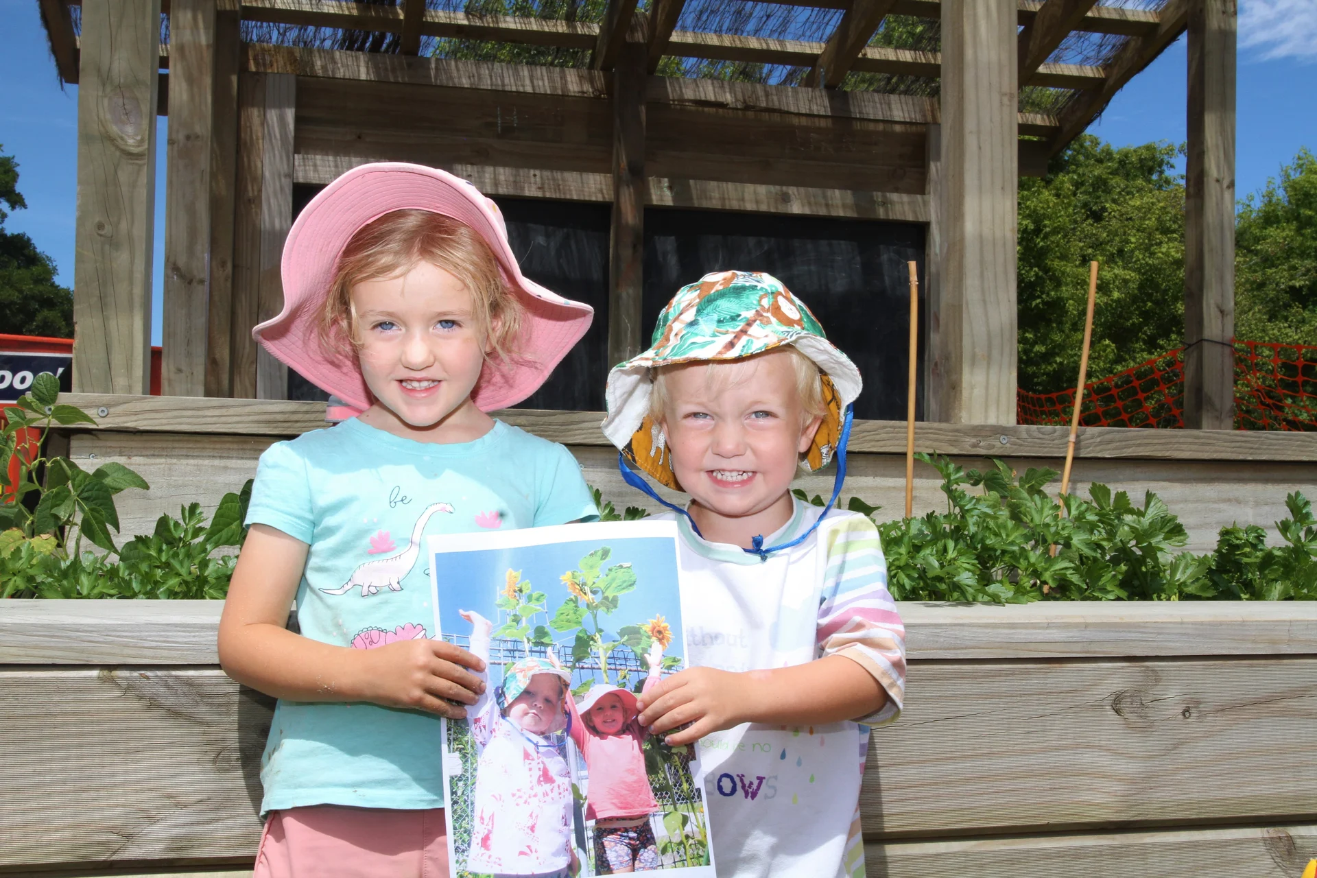 Kindergartens grow winning sunflowers