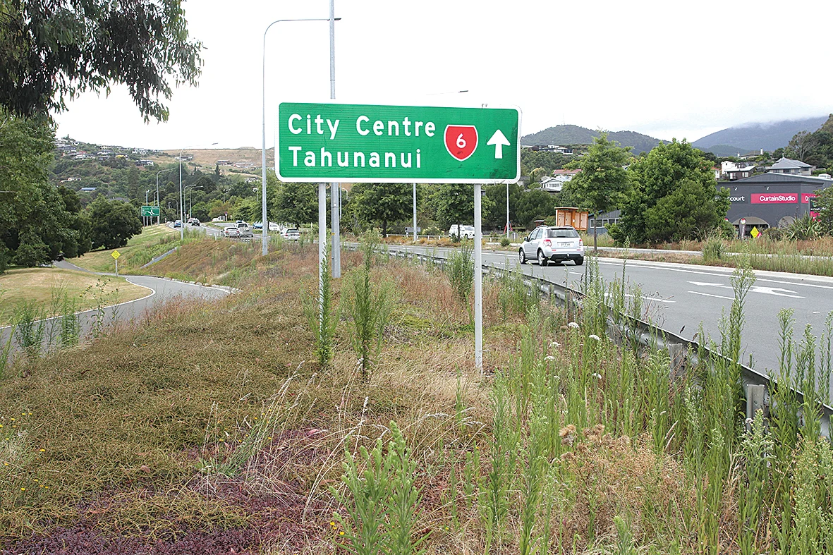 Nelson’s out-of-control weeds