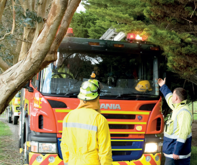 Fire risk lowered so time to plan for next summer