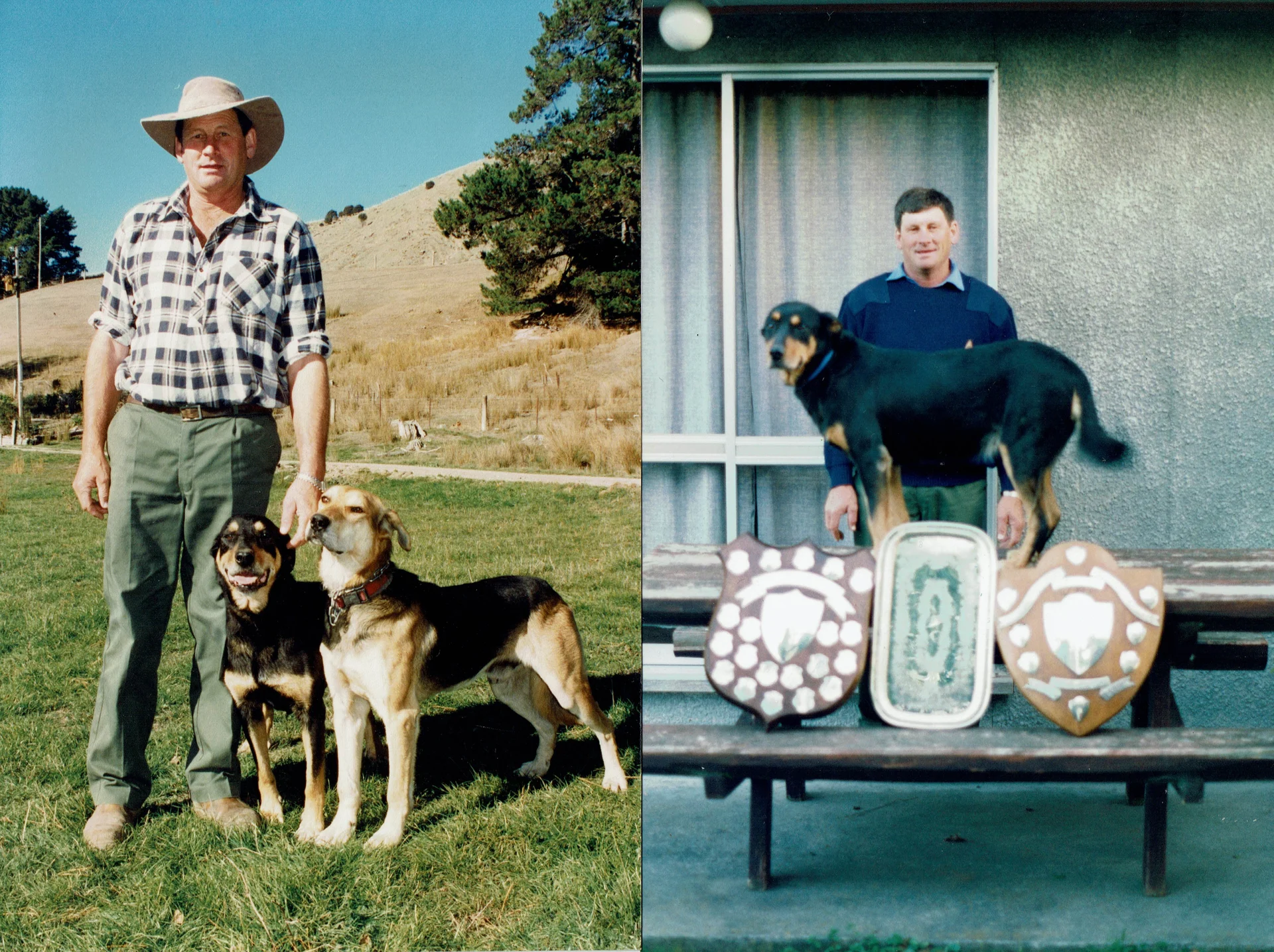 Kaikoura collie dog trial club to celebrate 125 years