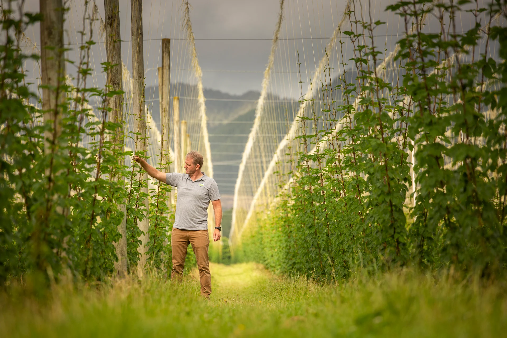 Hop Heroes