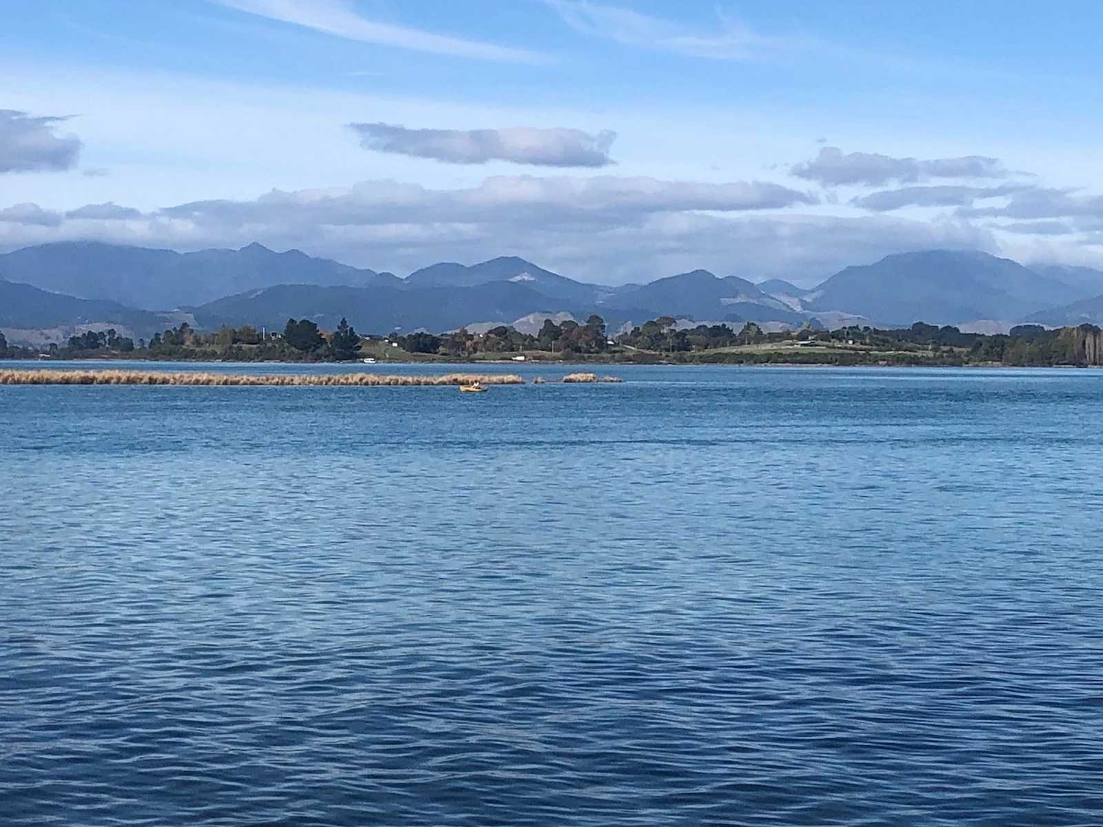 Plane crash in Waimea estuary
