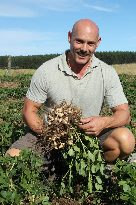 Looking for the perfect Kiwi peanut