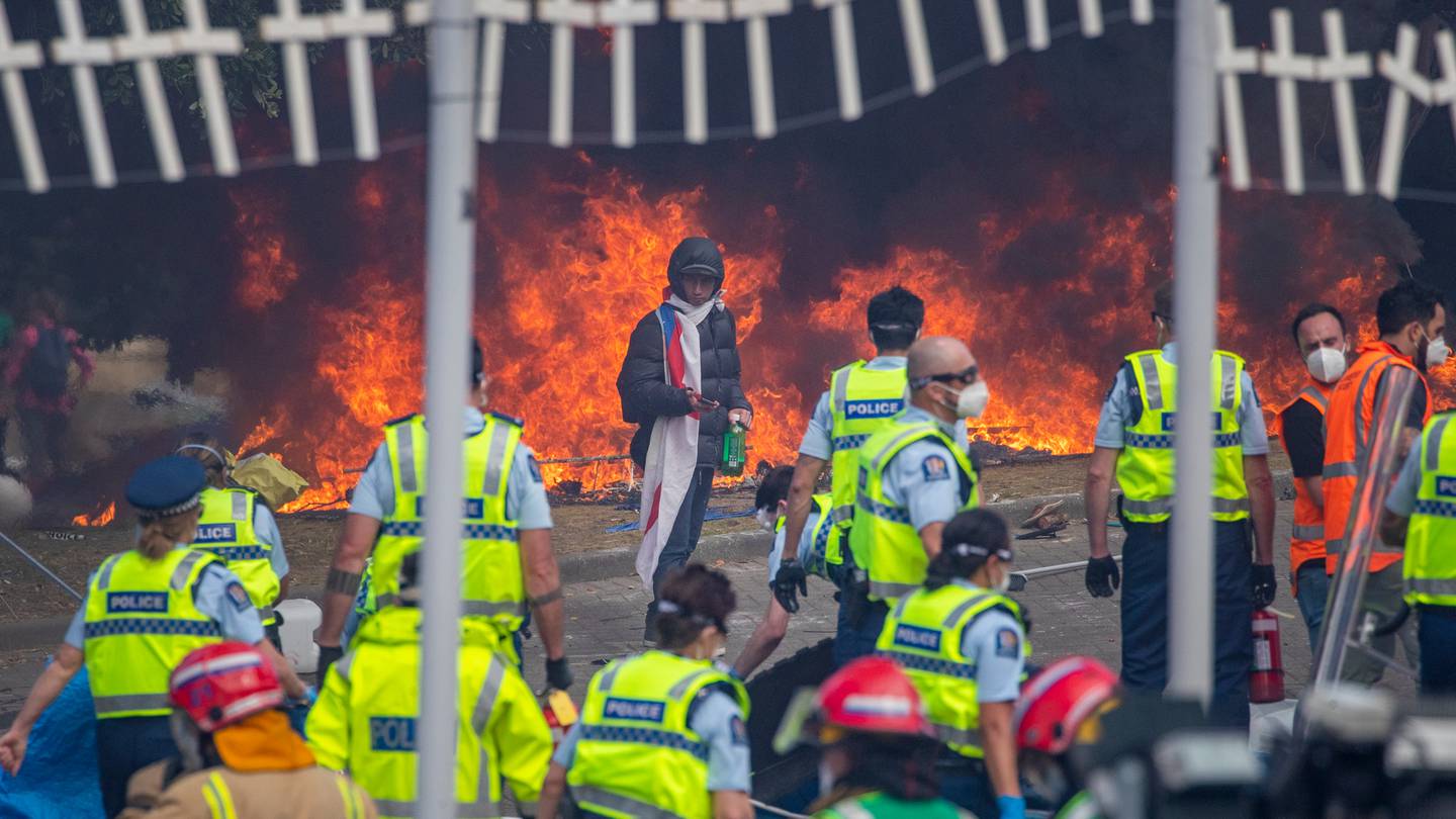 Nelsonians arrested following Parliament protests