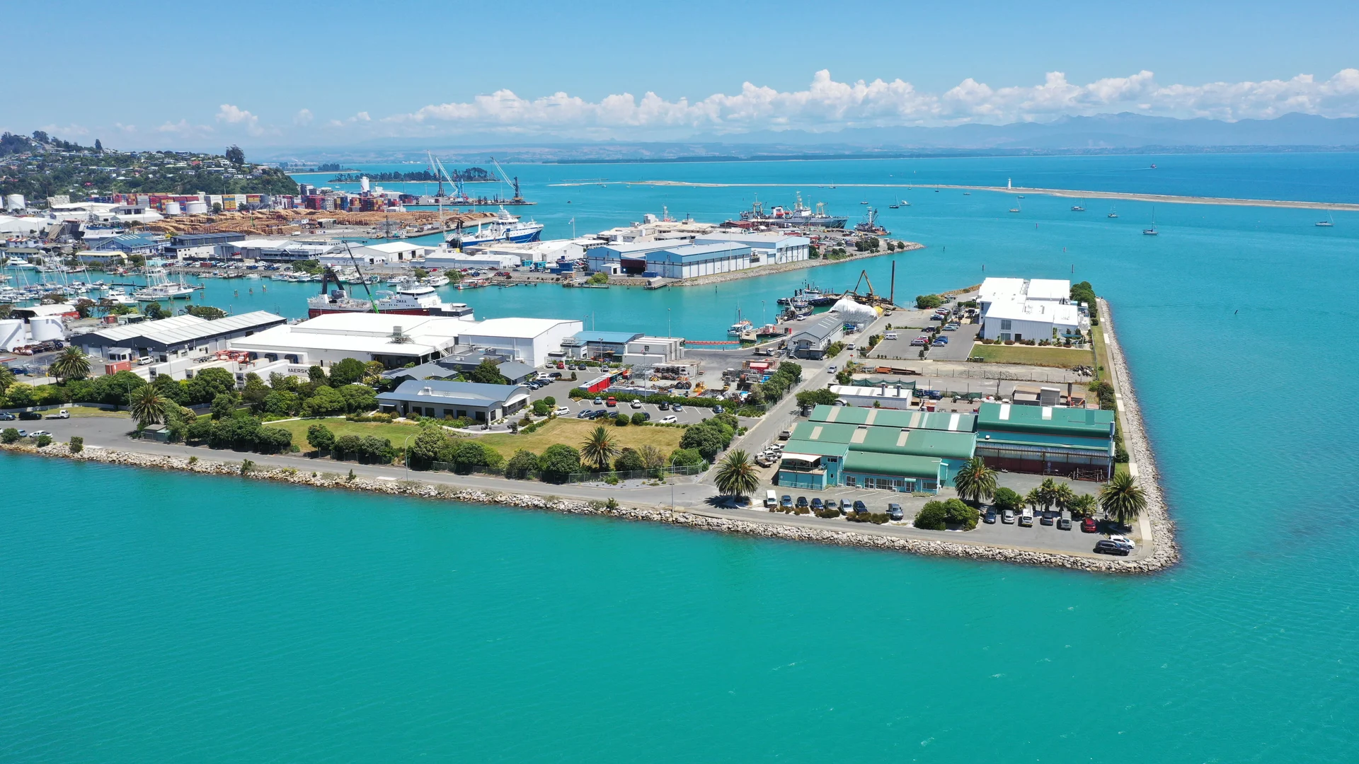 Future of marina to be decided