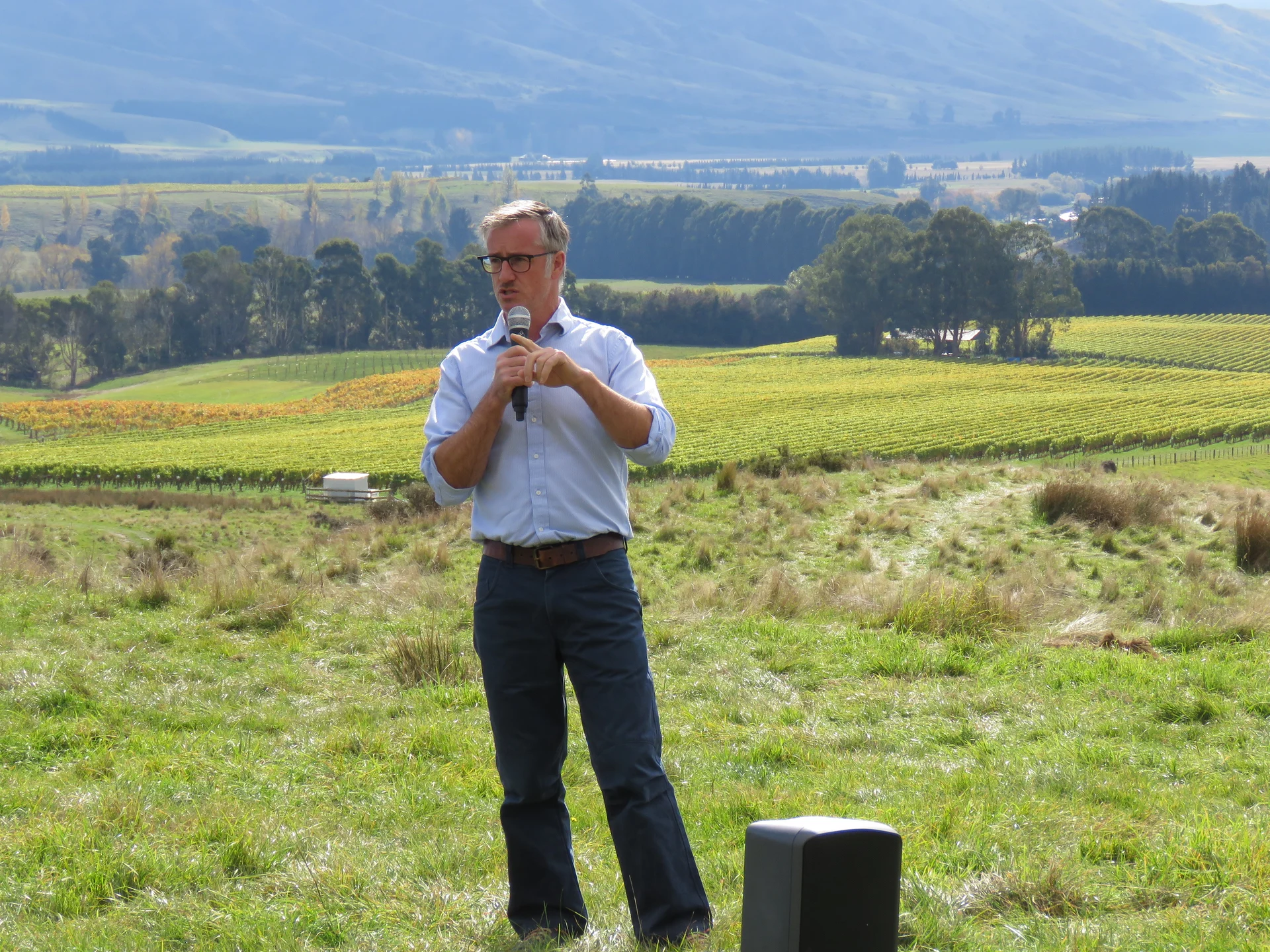 Carbon credits unravelled