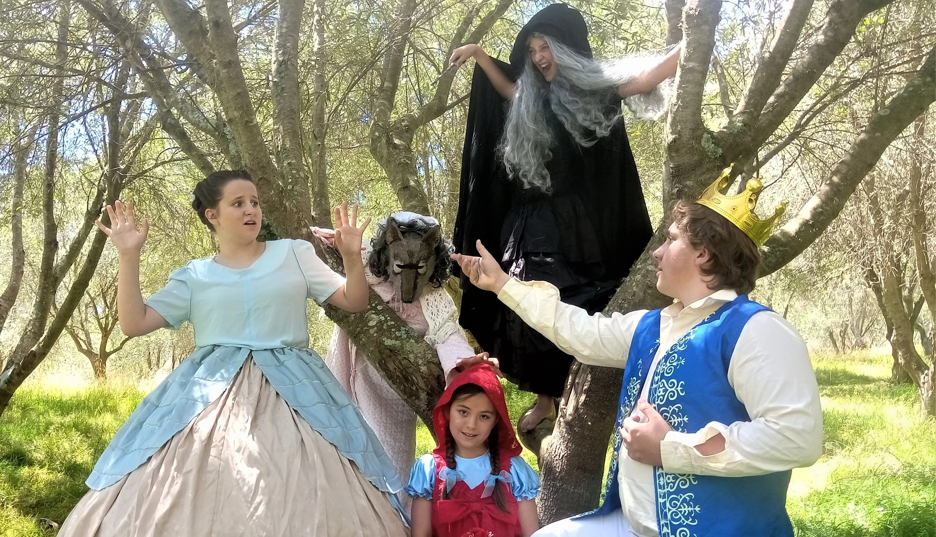 REVIEW: Into the Woods Jr by the Nelson Youth Theatre