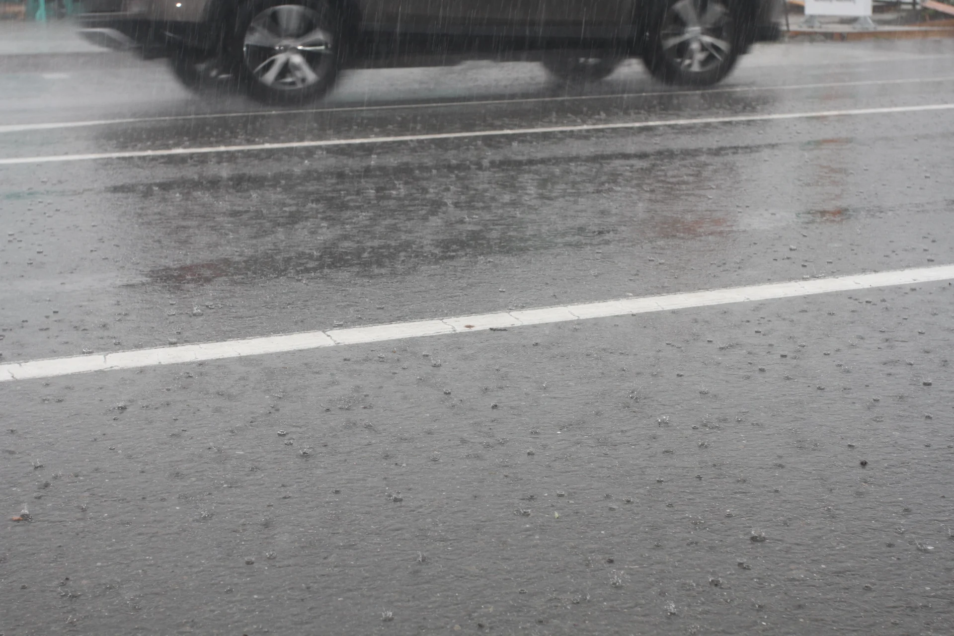 Tree and power lines down as severe weather hits region