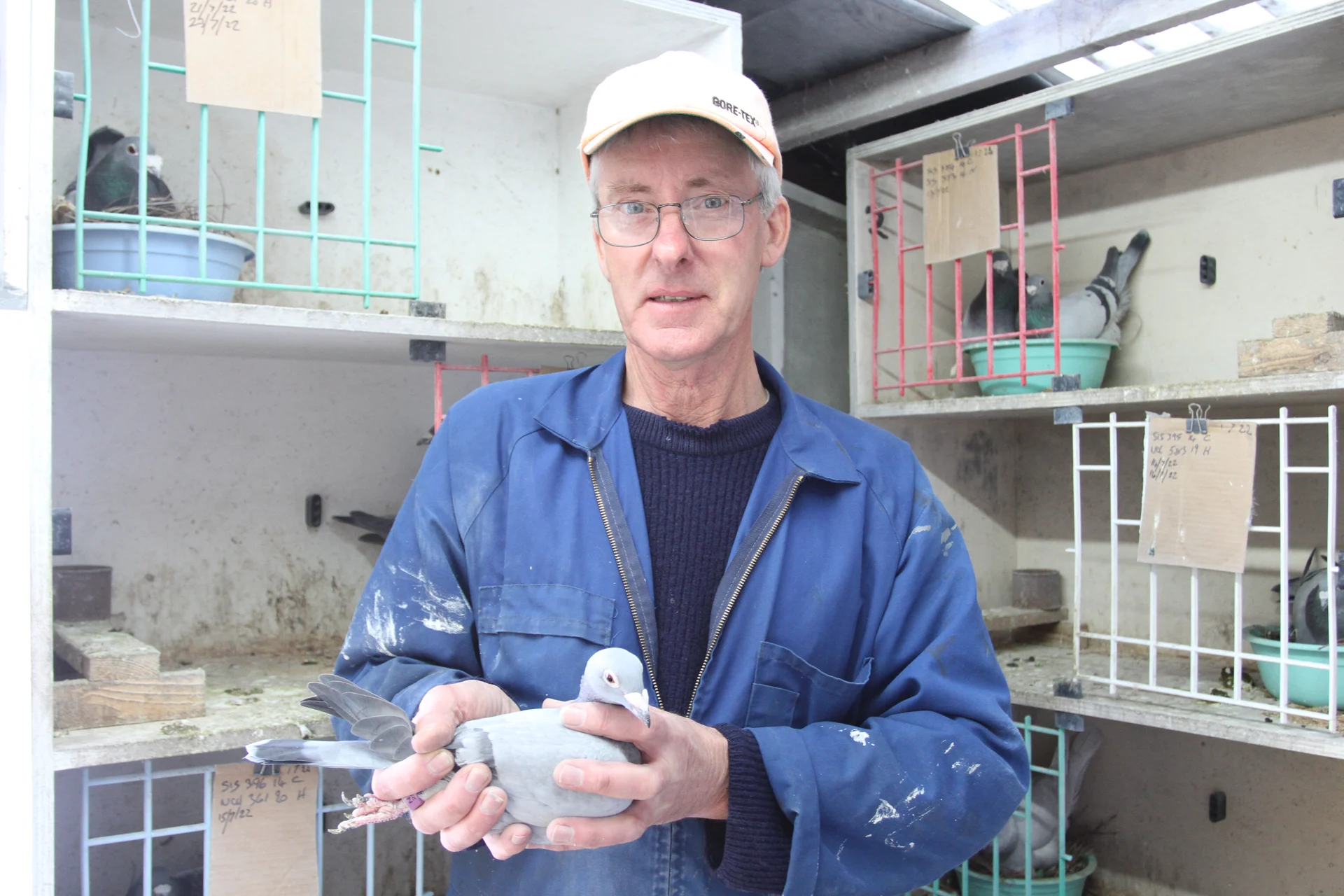 The makings of a high-performance racing bird