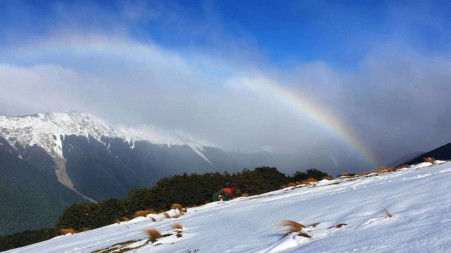 Pilot and passenger survive plane crash near Nelson Lakes