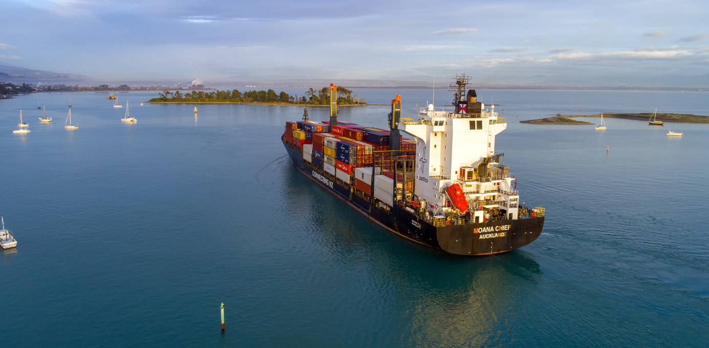 From Nelson Tasman to the World