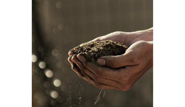 Regenerative farming systems