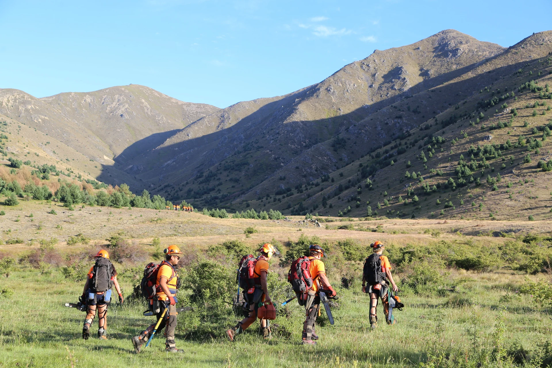 Boosted Molesworth Wilding Pine attack makes "immense" progress