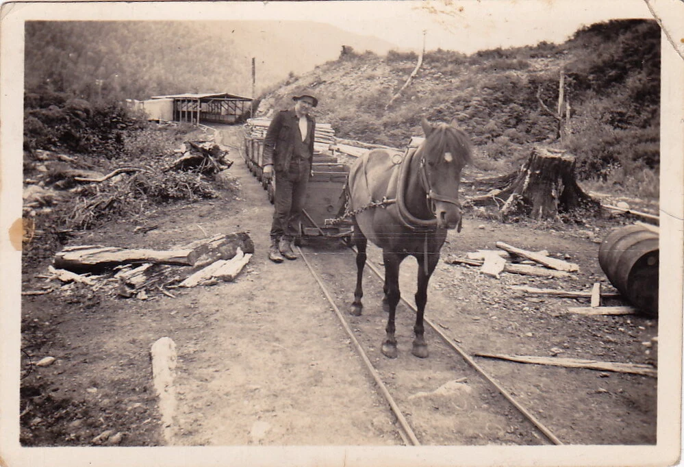 The progression of sawmilling