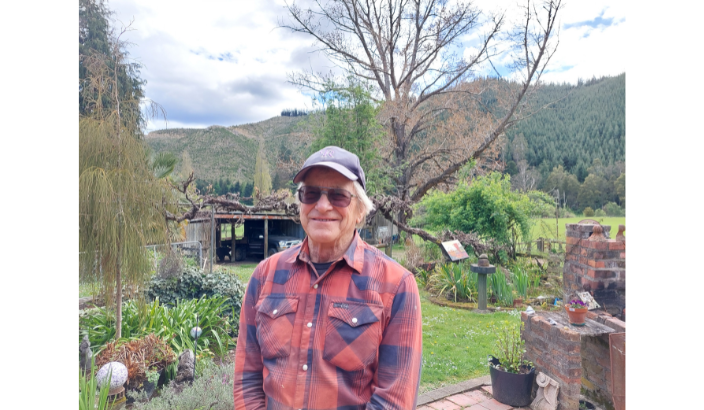 Utilising trees to solve problems