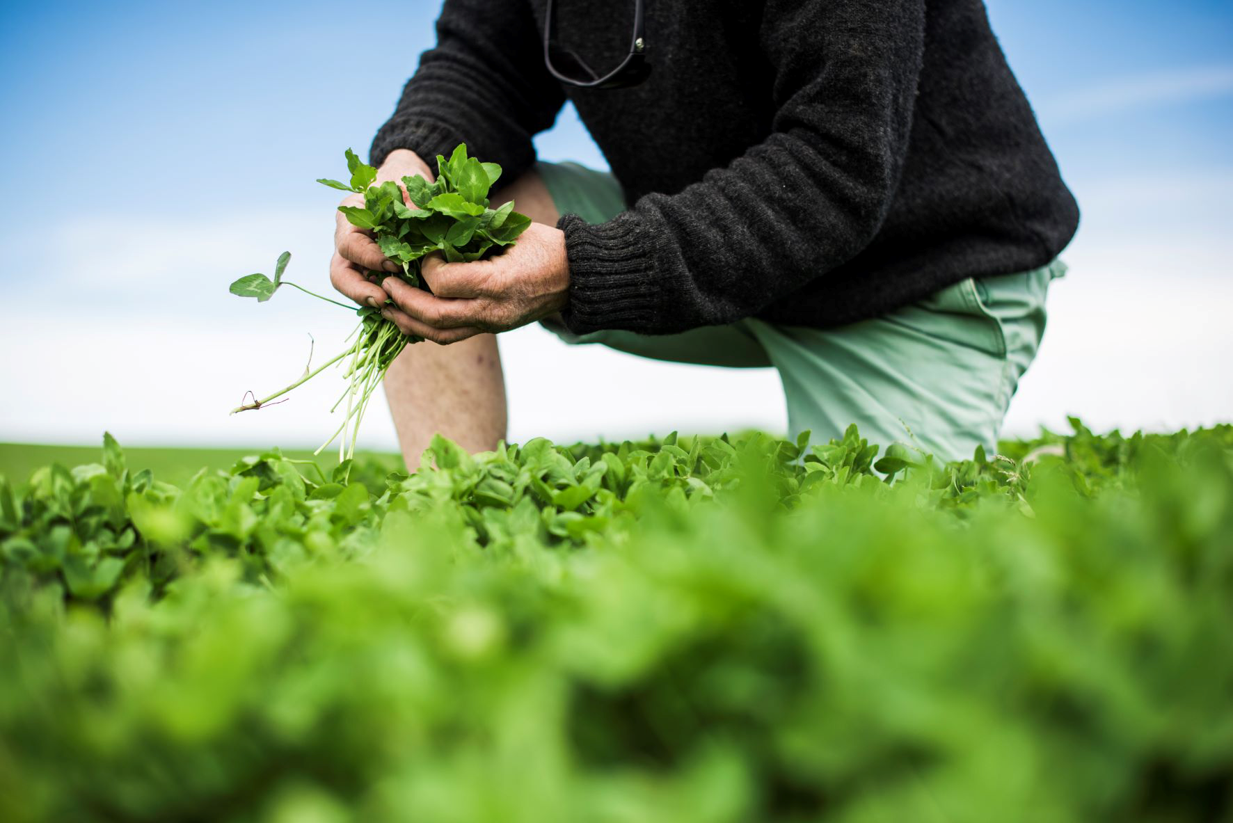 New project to help farmers gain regenerative agriculture certification