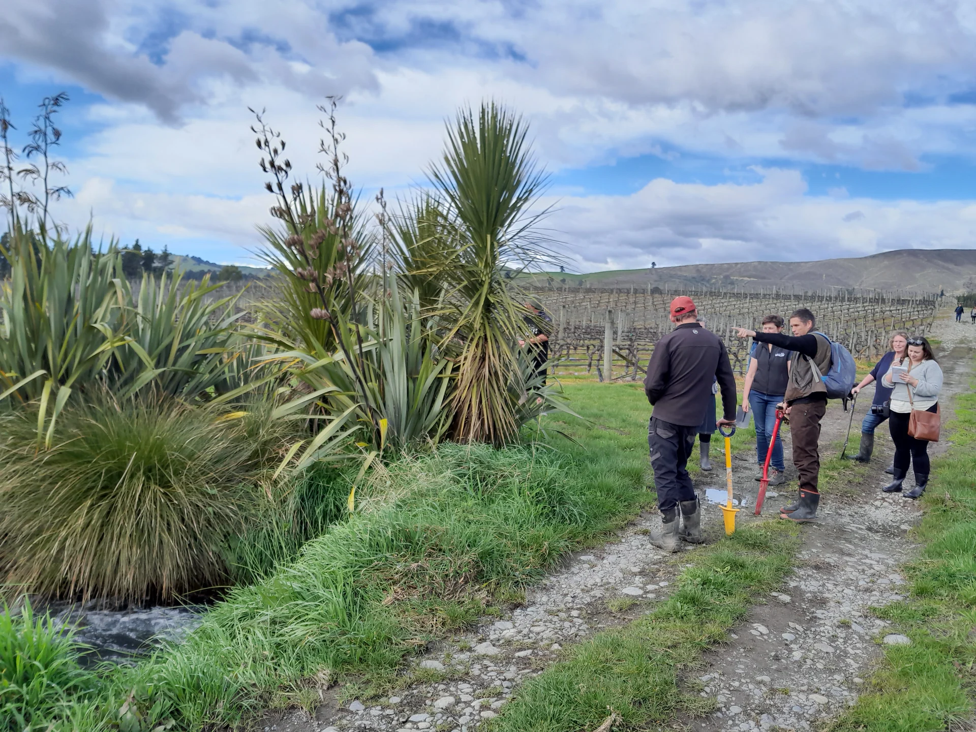 Wairau community explores wetlands
