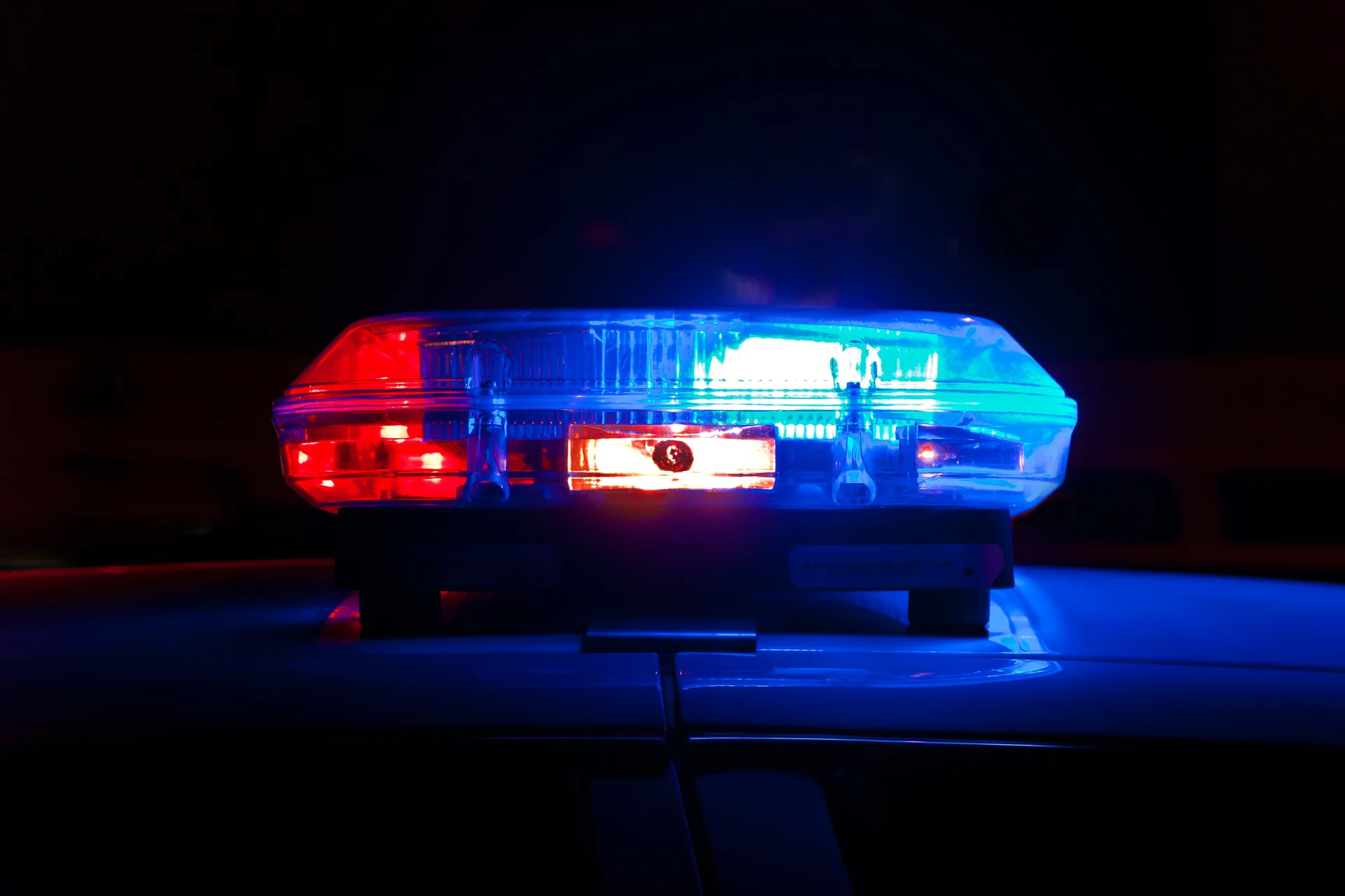 Operation Cobalt - Arrests made in Nelson
