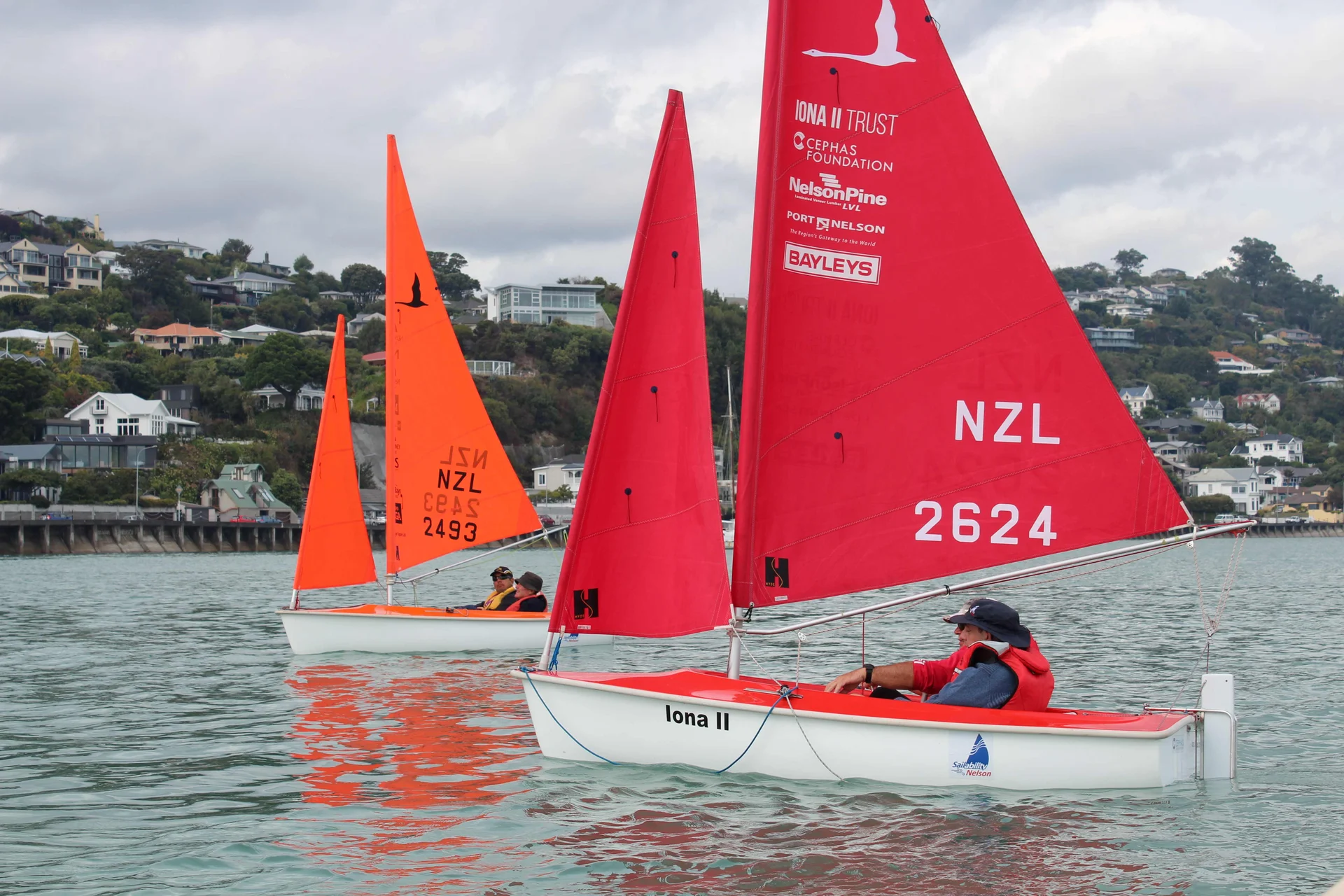 Sailability races into Wakatu Regatta