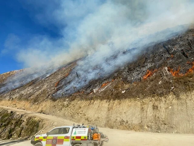 Riwaka forestry fire 80 per cent contained