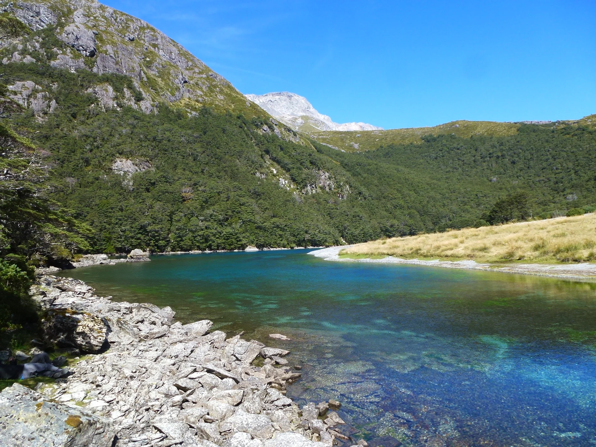 Alpine lakes at risk from ‘lake snow’