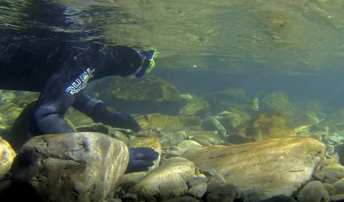 Drift diving season in full swing