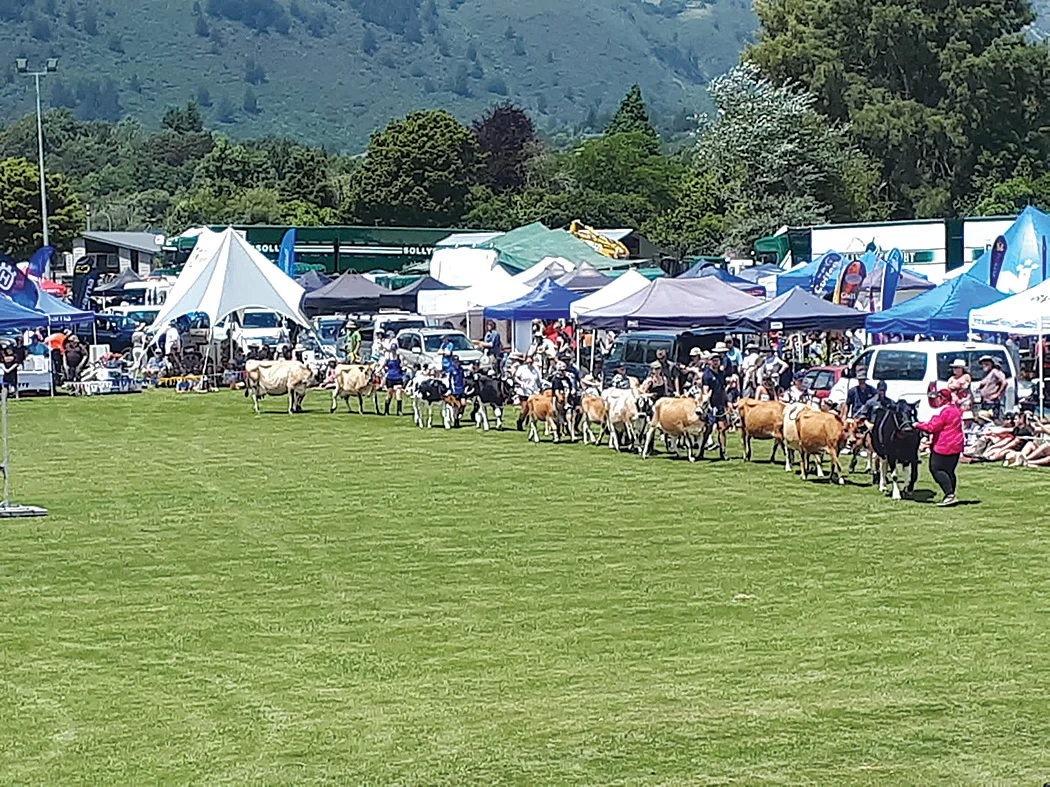 A&P Show a success