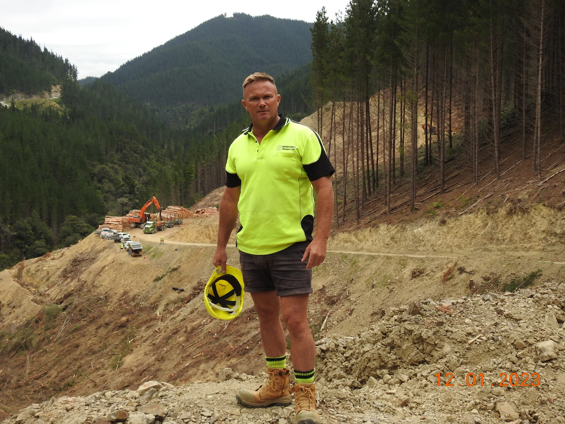 Diversifying is the future of forestry