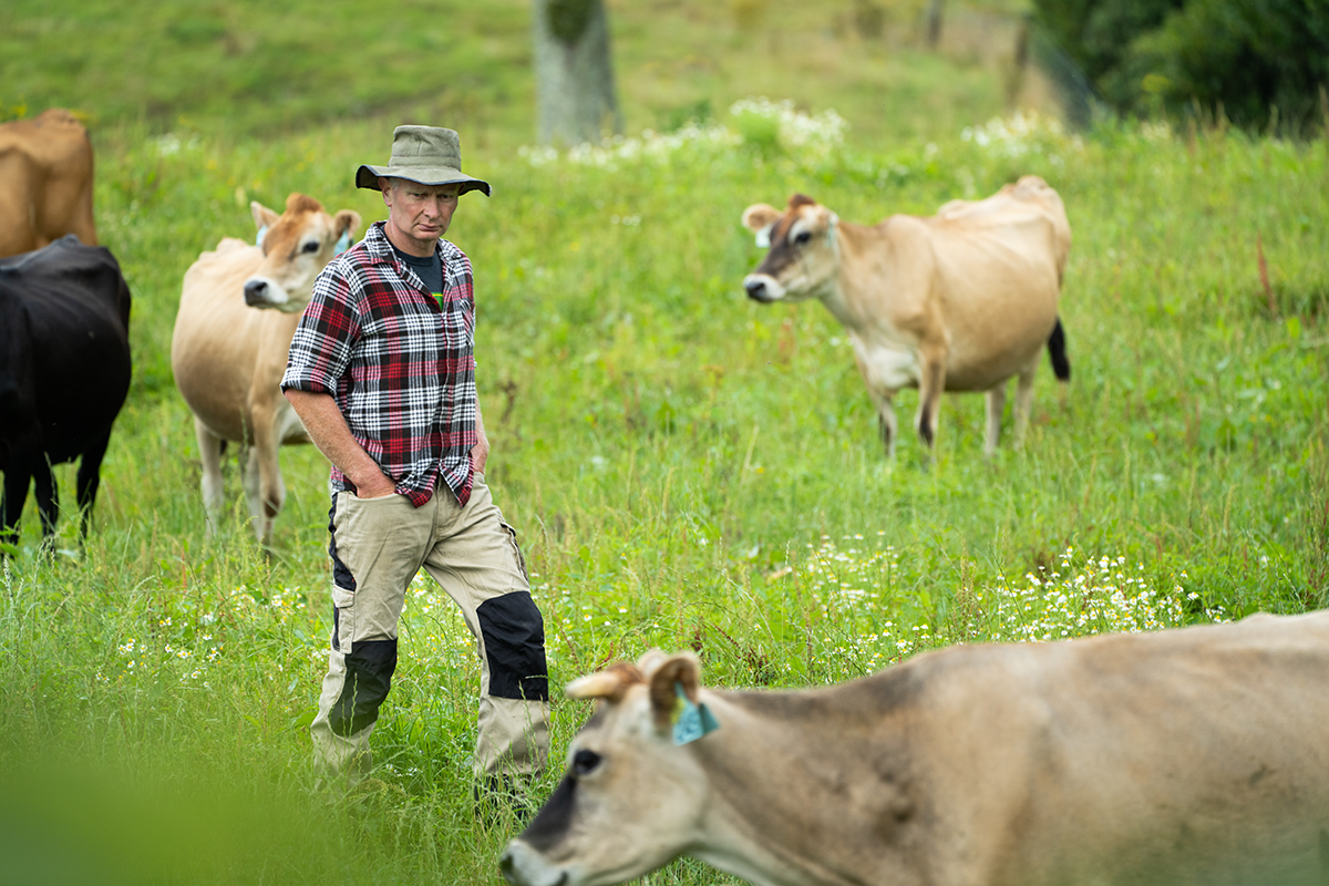 WEST COAST FARM LOOKS A PICTURE ON WESTGOLD’S NEW PACKAGING