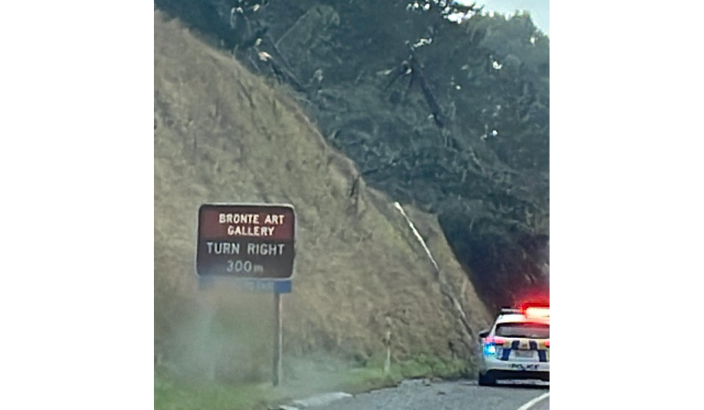 Tornado rips roofs off, tree falls on car