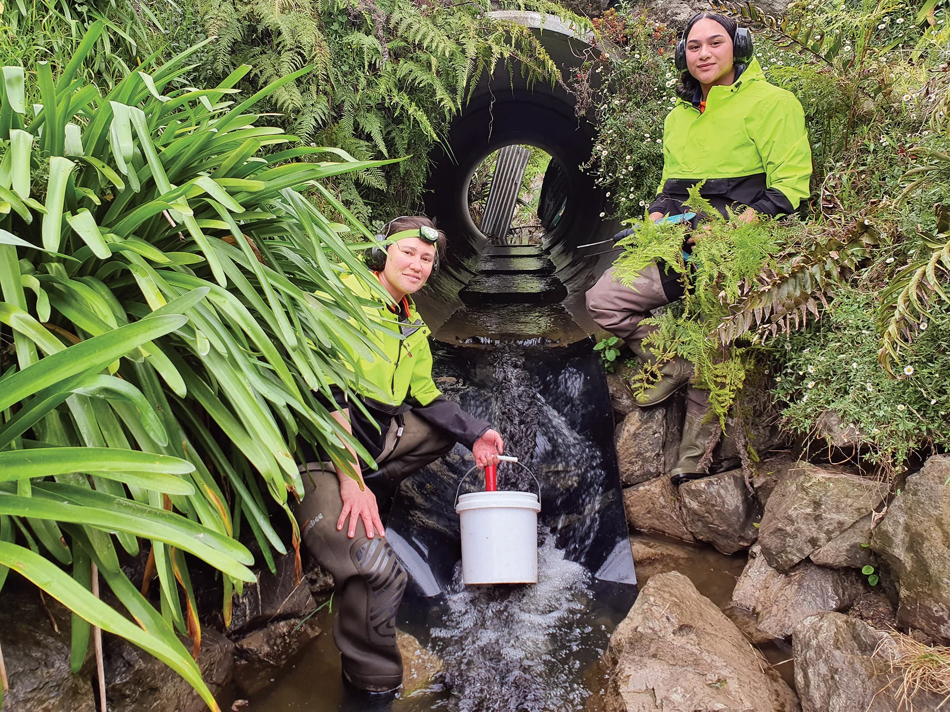 The team tasked with helping our Tasman fish