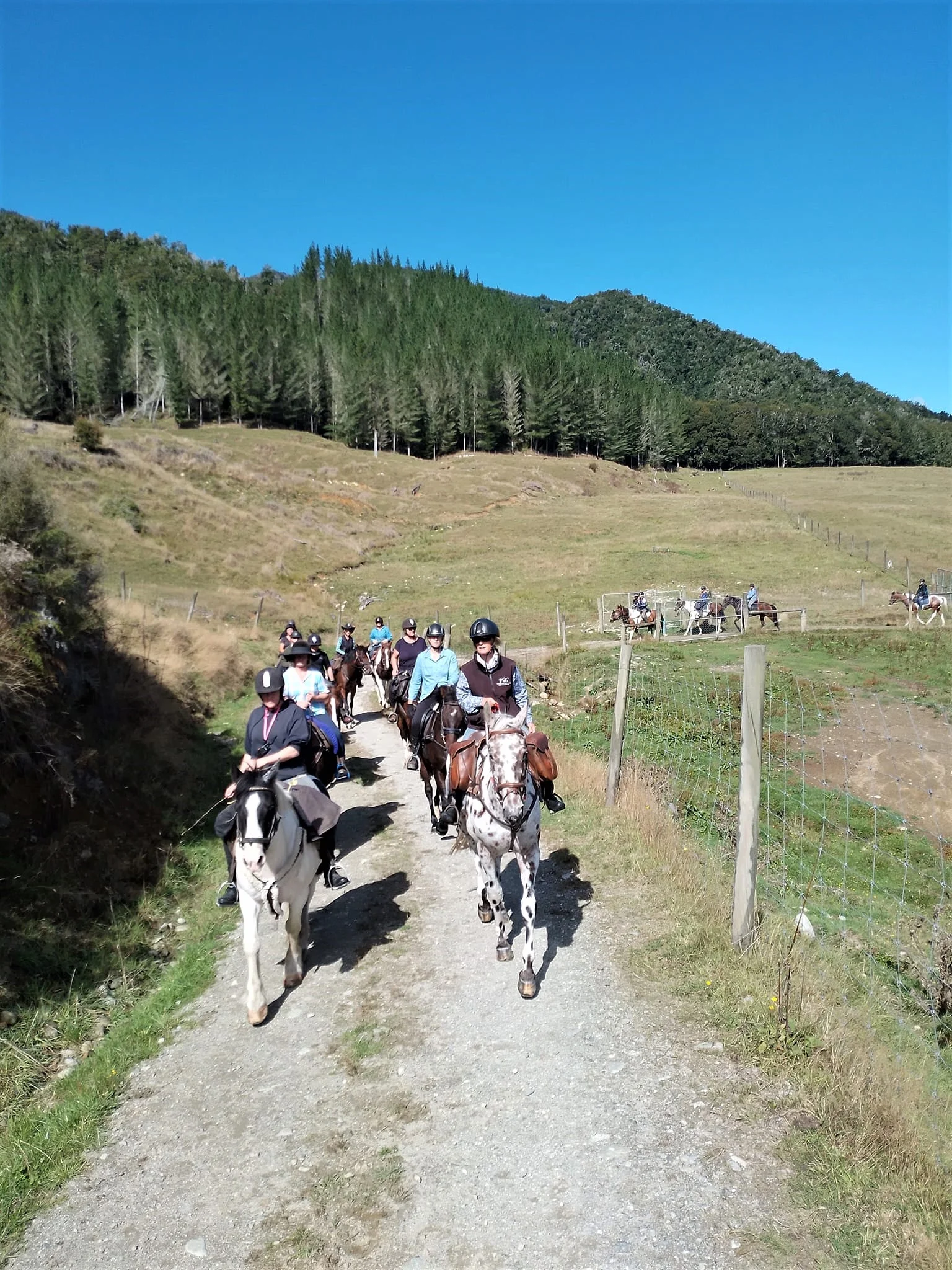 Horse trek raises money for rescue helicopter