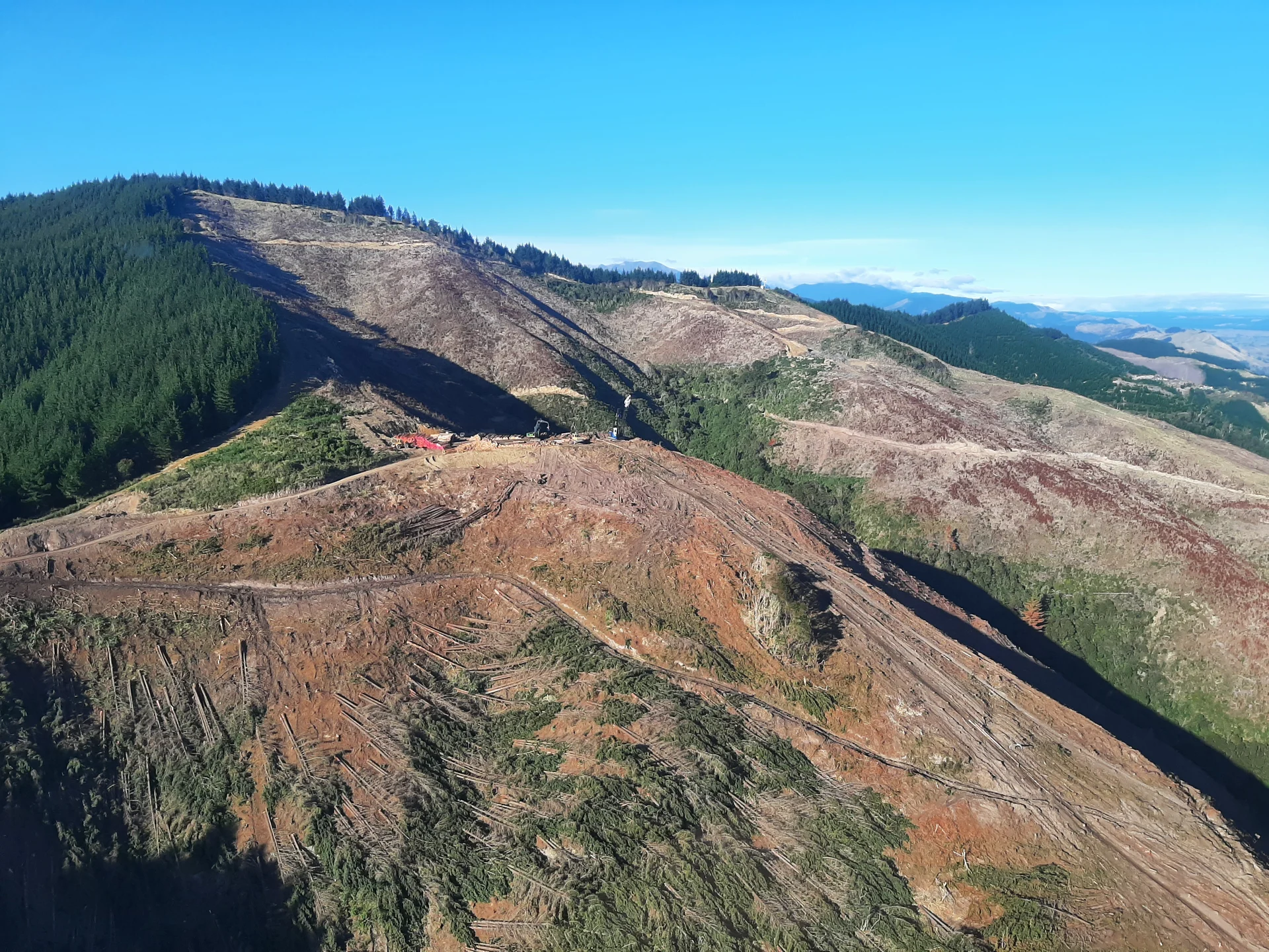 Plans for less slash from forest harvest