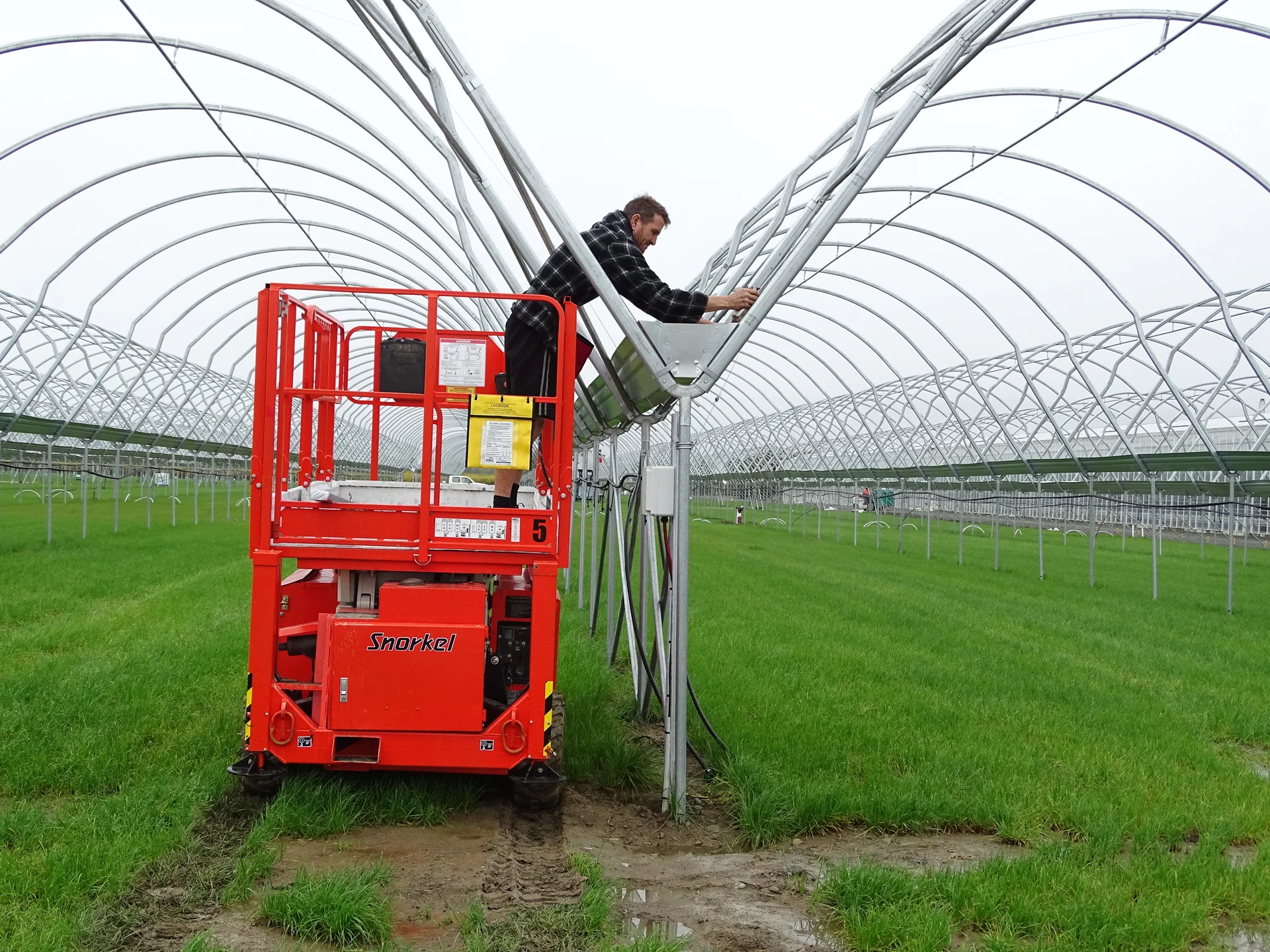 Waimea plains development means more strawberries