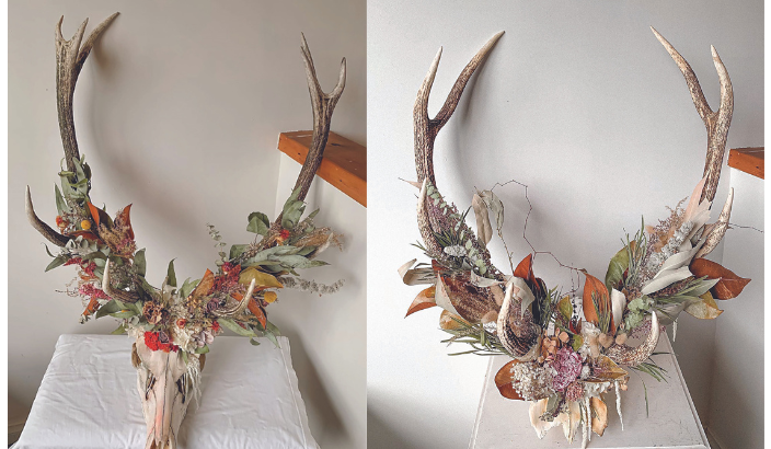 Floral Animal Skulls