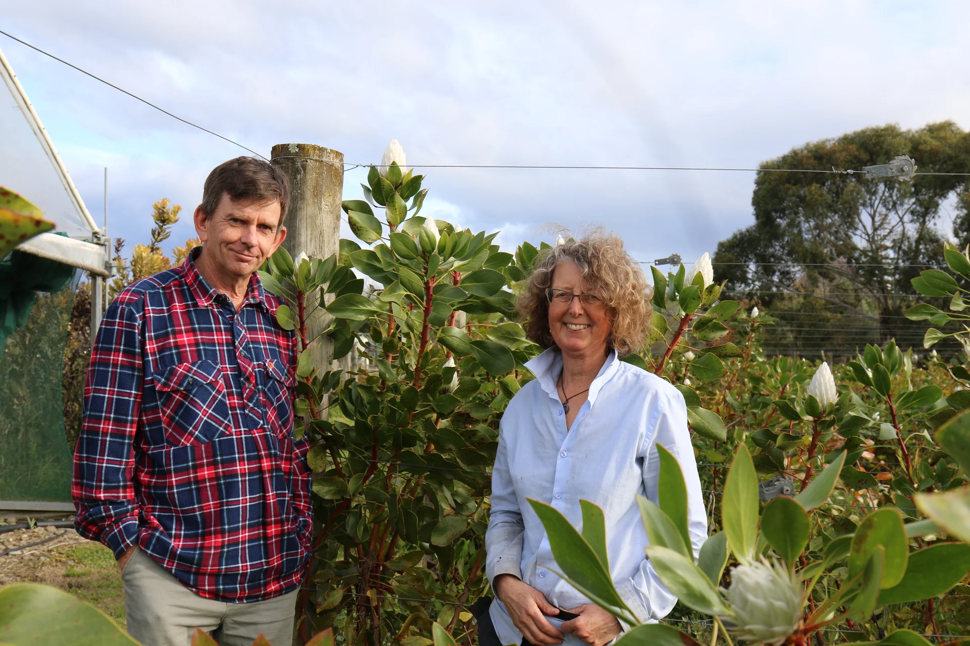 Hope-grown flowers head to Japan