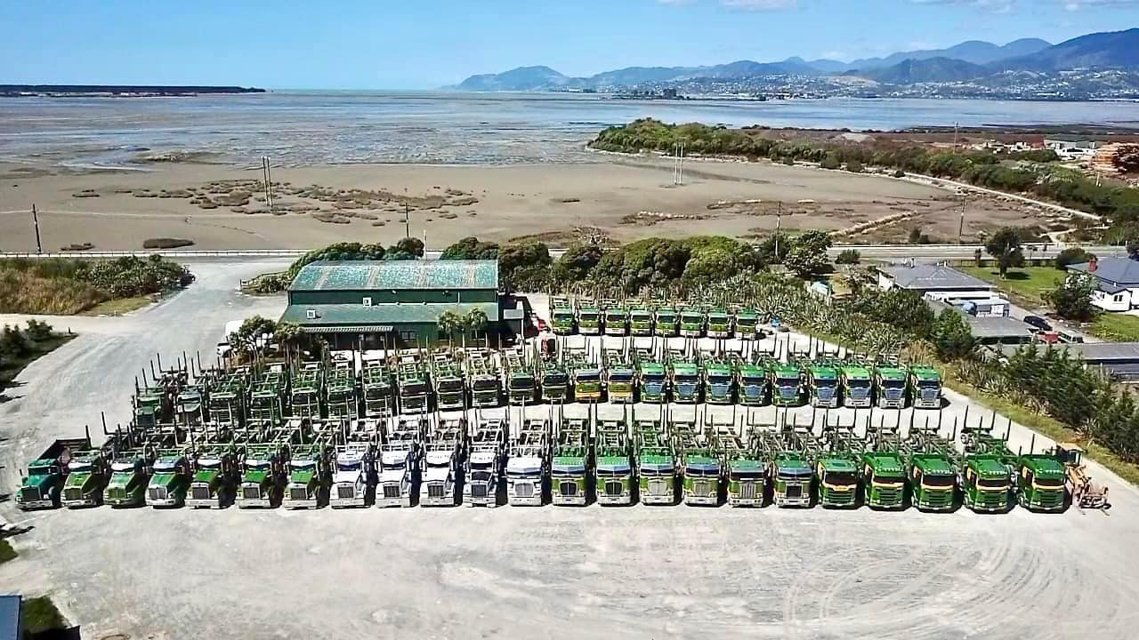 Job losses as forestry hit hard