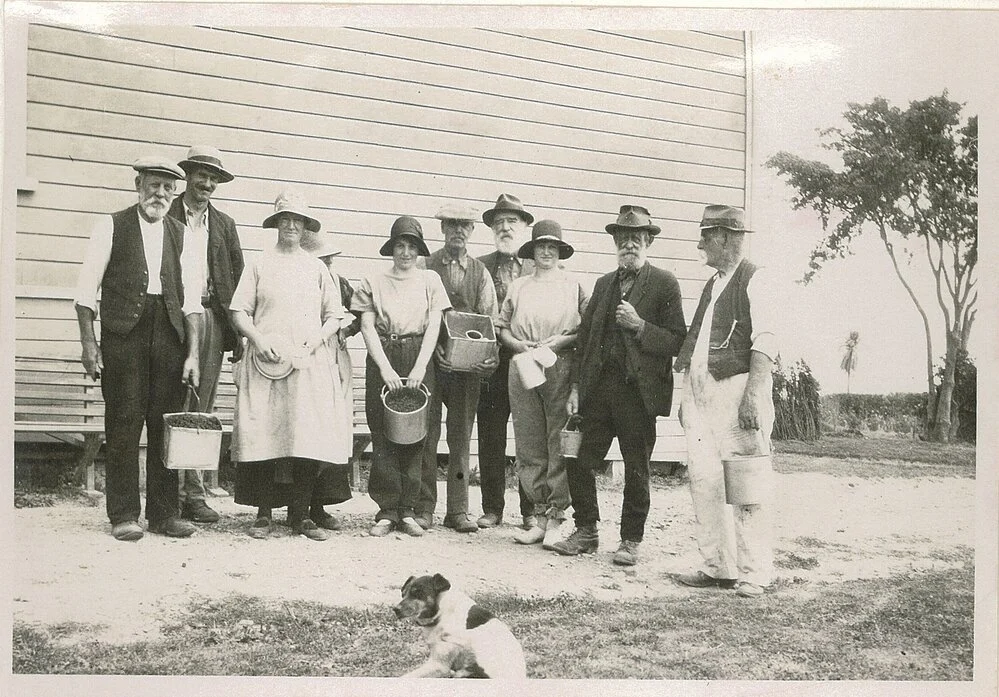 How Richmond’s Alexandra Home rose from the ashes