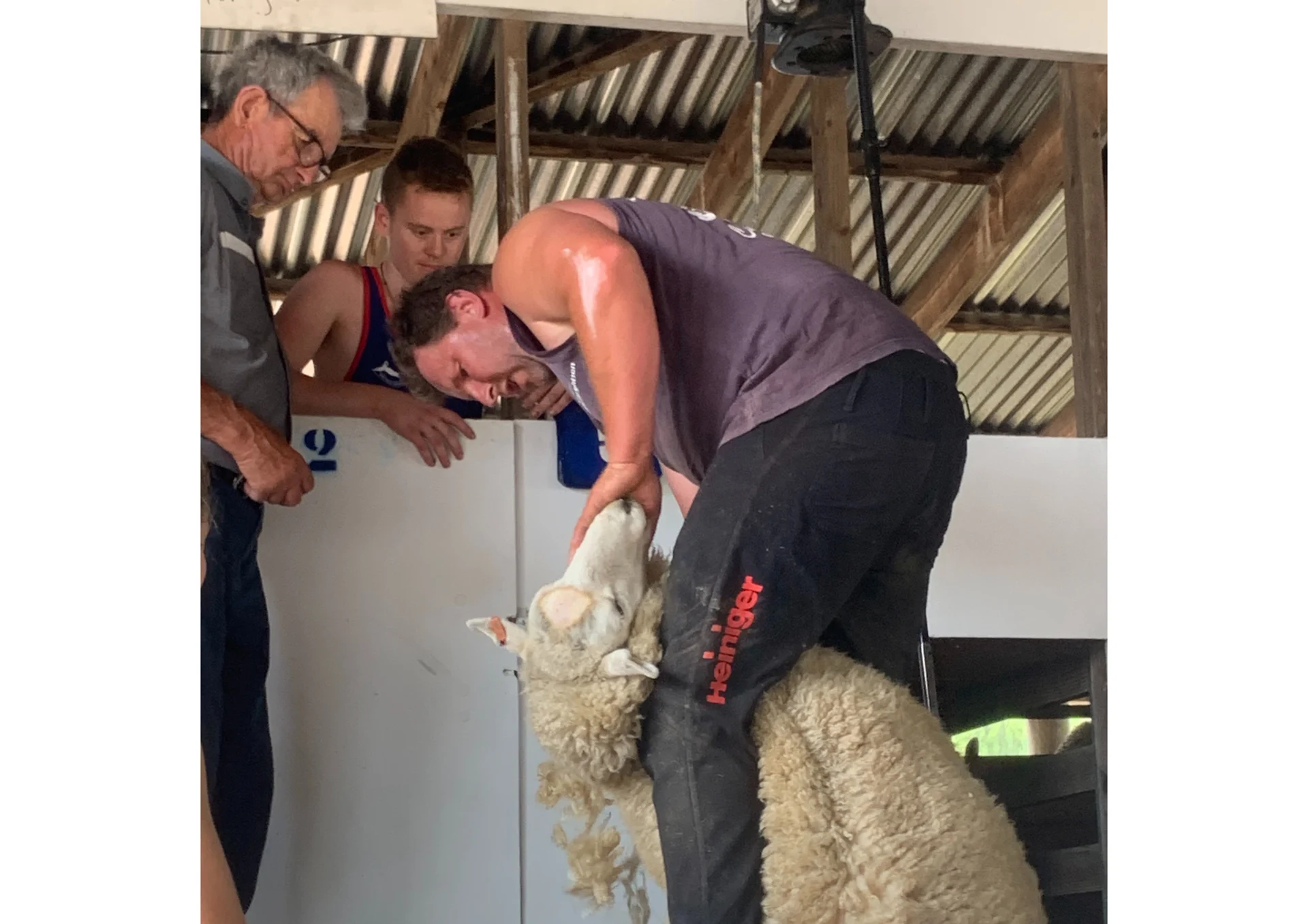 NZ to host World Golden Shears event 2026