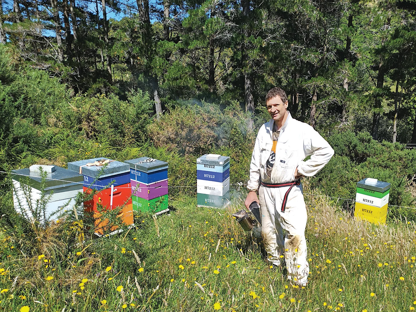 MPI animal health laboratory designated a global expert on major bee diseases