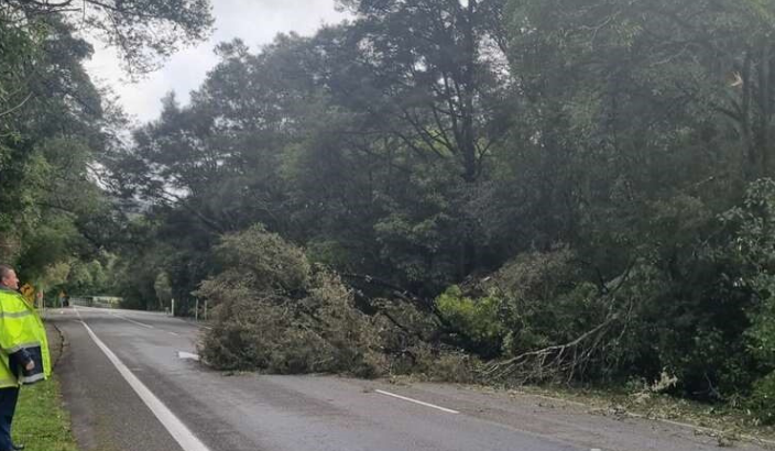 High winds block roads, delay flights