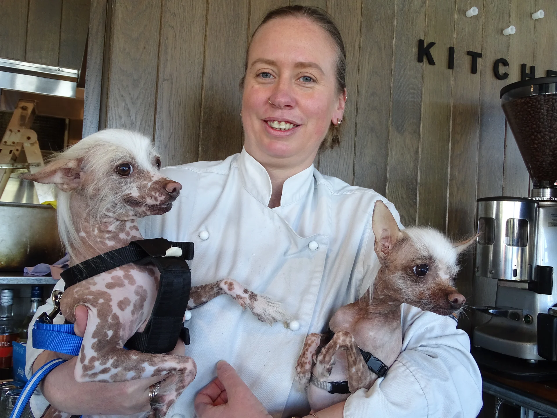 Ugly dogs inspire new restaurant