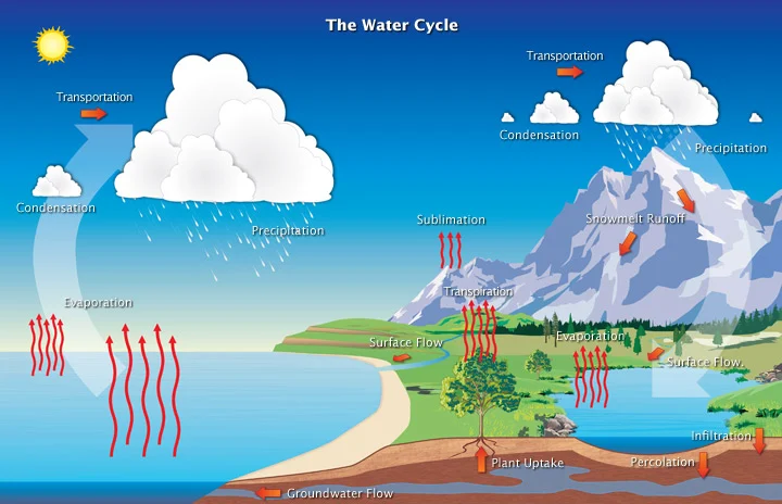 Climate change impacting Tasman