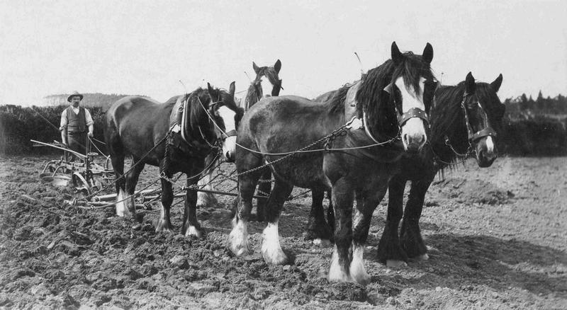 History: Richmond’s ploughing match improvement