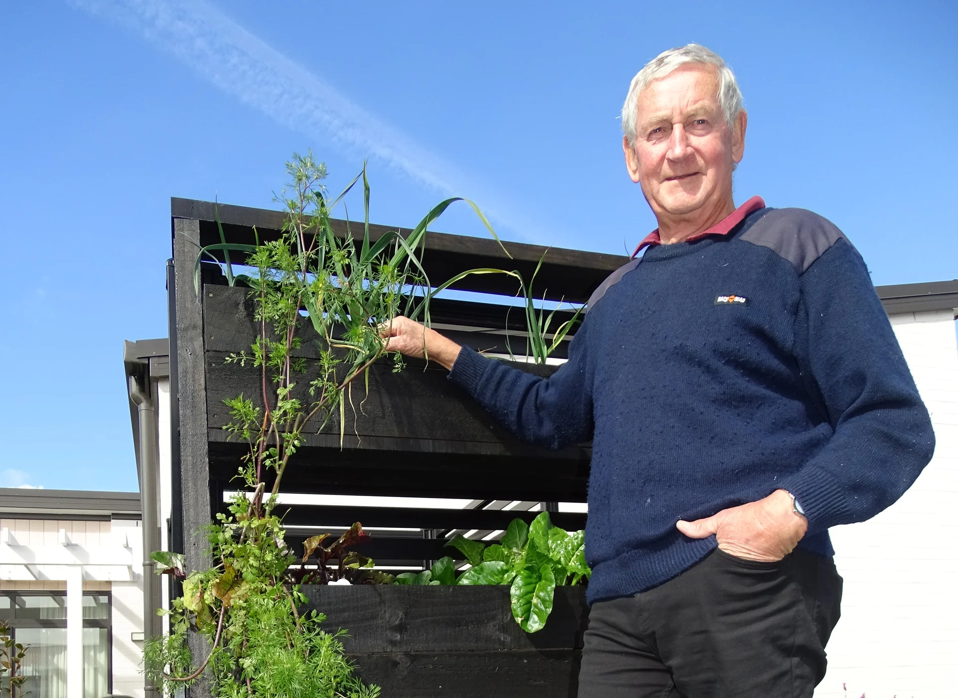 Vertical gardens built in retirement village